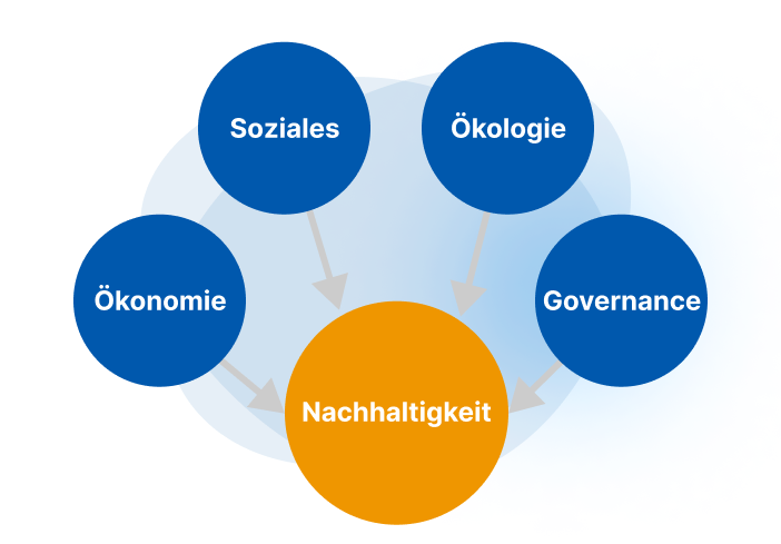 Infografik veranschaulicht die 4 Nachhaltigkeits-Säulen von APOGEPHA: Ökonomie, Soziales, Ökologie und Governance.